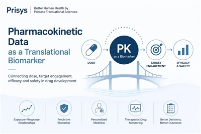 Pharmacokinetic Data Raws li Kev Txhais Lus Biomarker
